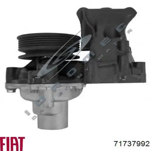 Bombeadora de agua Fiat/Alfa/Lancia 71737992 precio, desde 63,74 EUR