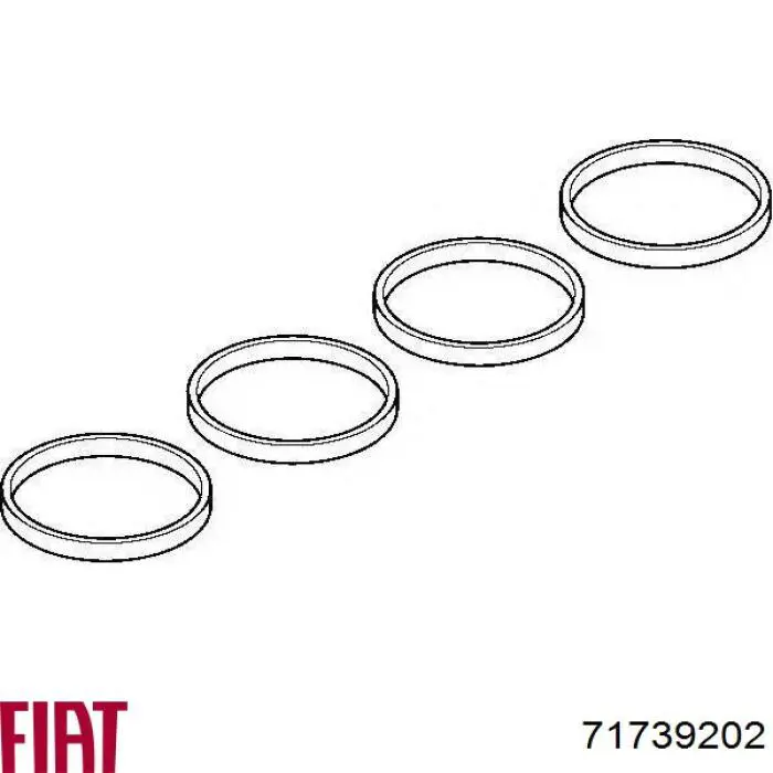 Junta de colector de admisión Fiat/Alfa/Lancia 71739202 precio, desde 9,15 EUR