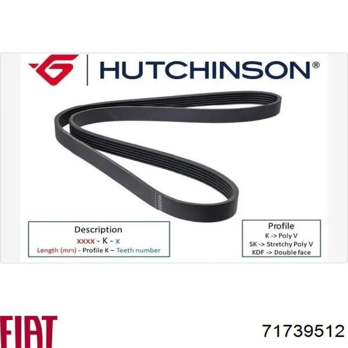 Comprar 71739512 Fiat/Alfa/Lancia Correa trapezoidal