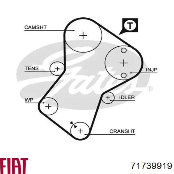 Comprar 71739919 Fiat/Alfa/Lancia Correa distribución