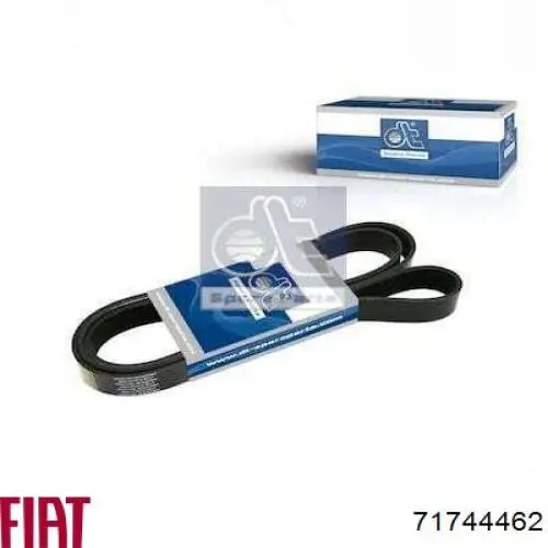 Correa de transmisión trapezoidal Fiat/Alfa/Lancia 71744462 precio, desde 15,23 EUR
