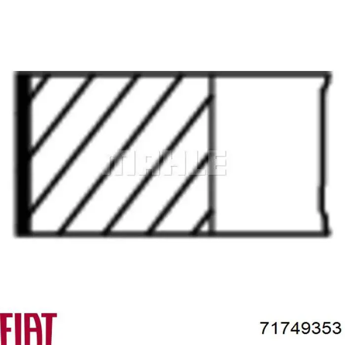 Comprar 792071004 SM Aros de pistón para 1 cilindro, STD