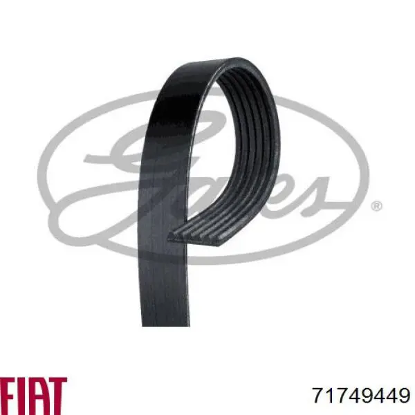 Correa de transmisión trapezoidal Fiat/Alfa/Lancia 71749449 precio, desde 11,28 EUR
