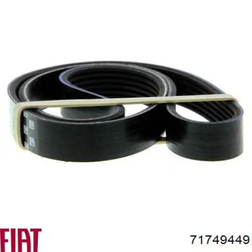 Comprar 71749449 Fiat/Alfa/Lancia Correa trapezoidal