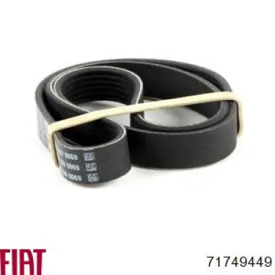 71749449 Fiat/Alfa/Lancia Correa poly v