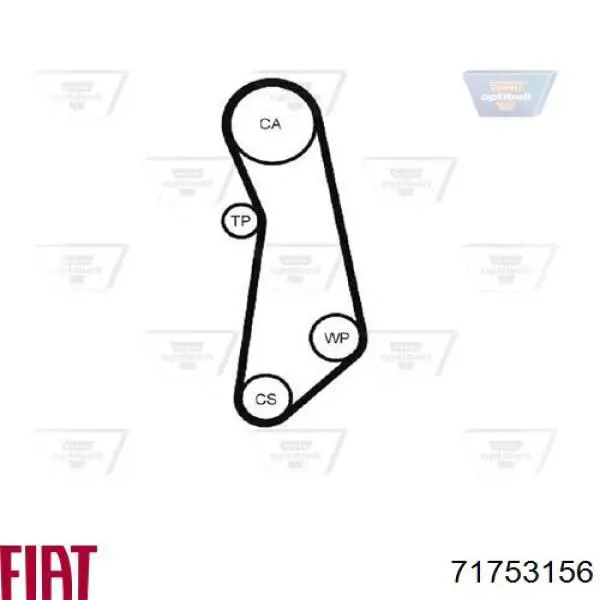 Correa de distribución Fiat/Alfa/Lancia 71753156 precio, desde 20,27 EUR