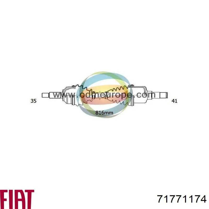 Junta homocinética exterior delantera Fiat/Alfa/Lancia 71771174 precio, desde 36,92 EUR