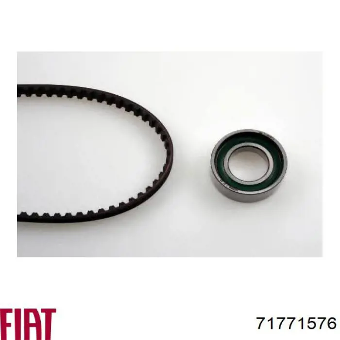 Juego de correas dentadas Fiat/Alfa/Lancia 71771576 precio, desde 50,22 EUR