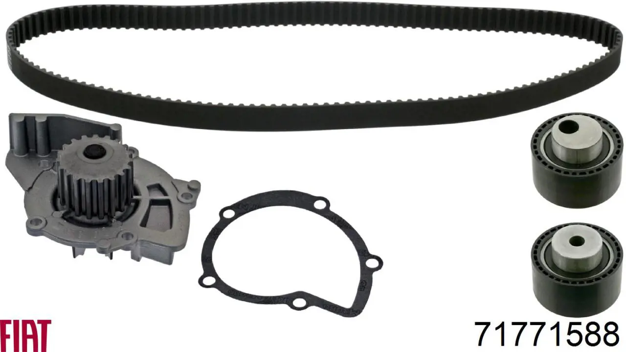Juego de correas dentadas Fiat/Alfa/Lancia 71771588 precio, desde 142,01 EUR