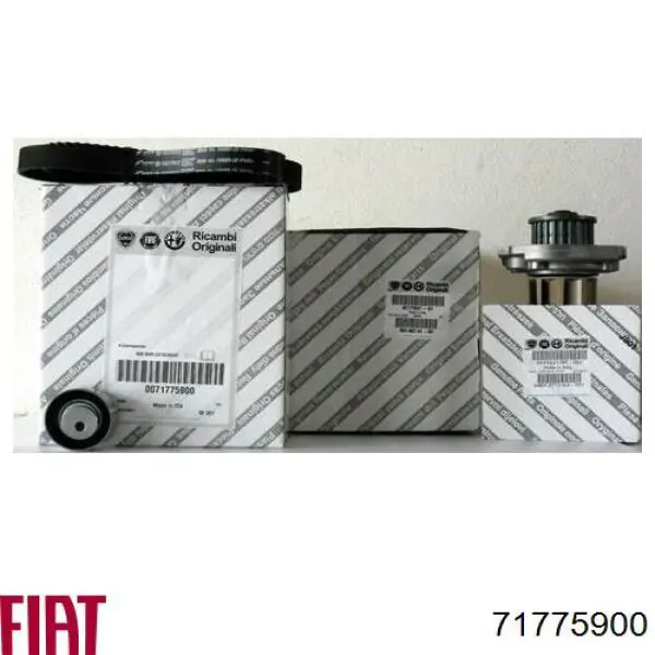 Juego de correas dentadas Fiat/Alfa/Lancia 71775900 precio, desde 35,24 EUR