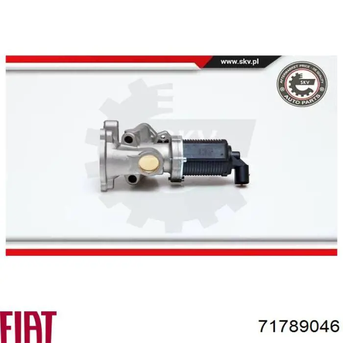 Válvula de regulación de gases Fiat/Alfa/Lancia 71789046 precio, desde 54,74 EUR