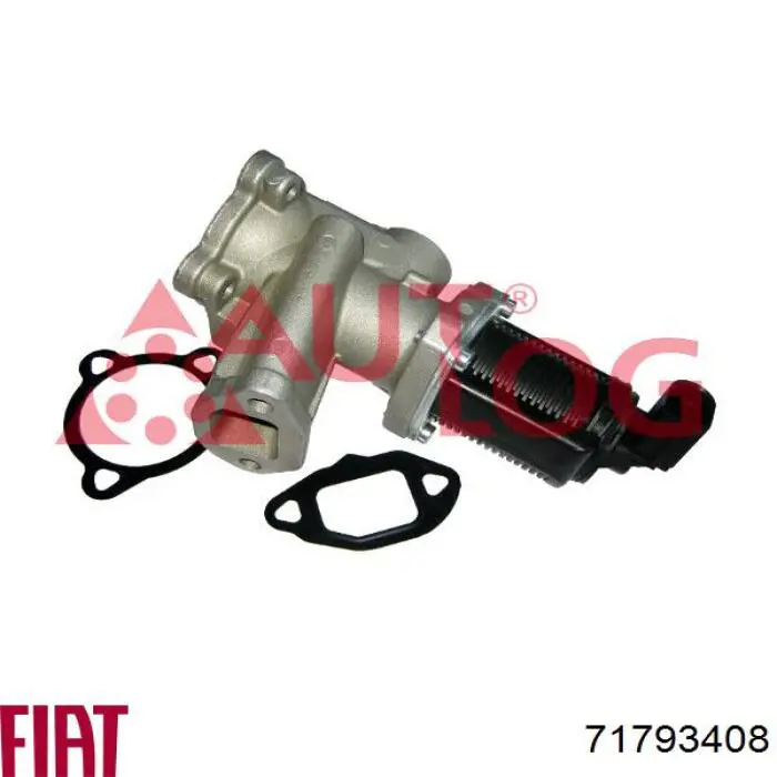Comprar 71793408 Fiat/Alfa/Lancia Válvula EGR