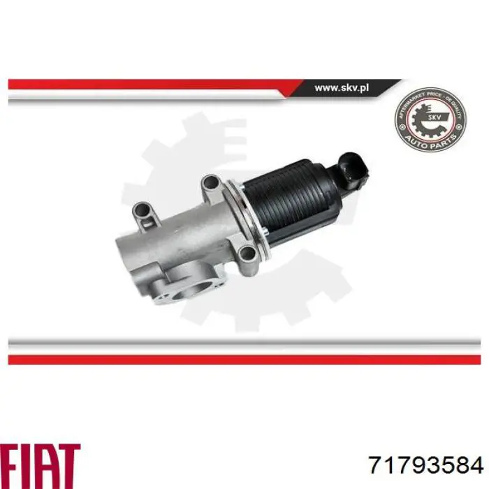 EGR 71793584 Fiat/Alfa/Lancia