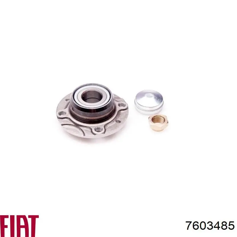 Cubo de rueda trasero 7603485 Fiat/Alfa/Lancia