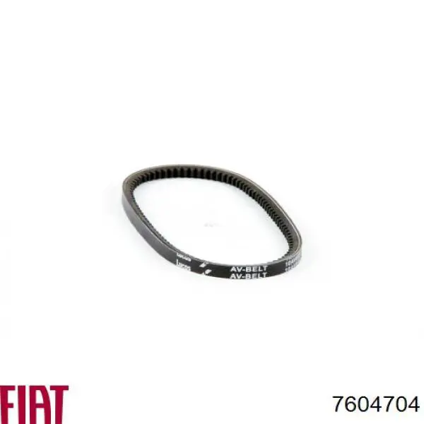 7604704 Fiat/Alfa/Lancia Correa poly v