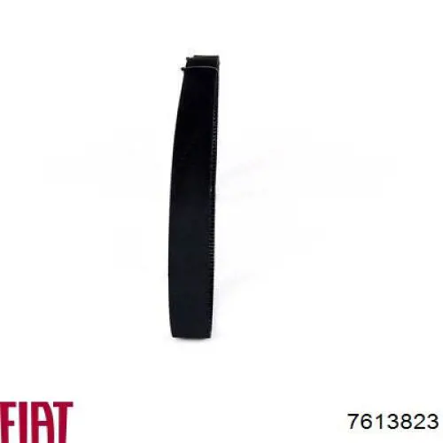 7613823 Fiat/Alfa/Lancia Correa dentada