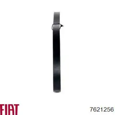 Correa de transmisión trapezoidal Fiat/Alfa/Lancia 7621256 precio, desde 9,18 EUR