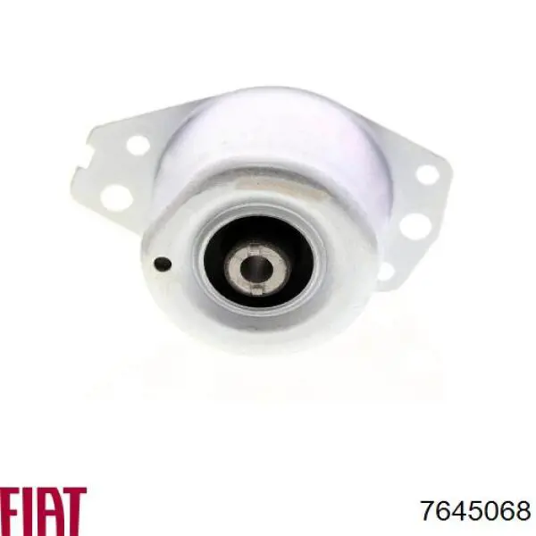  STC T405539