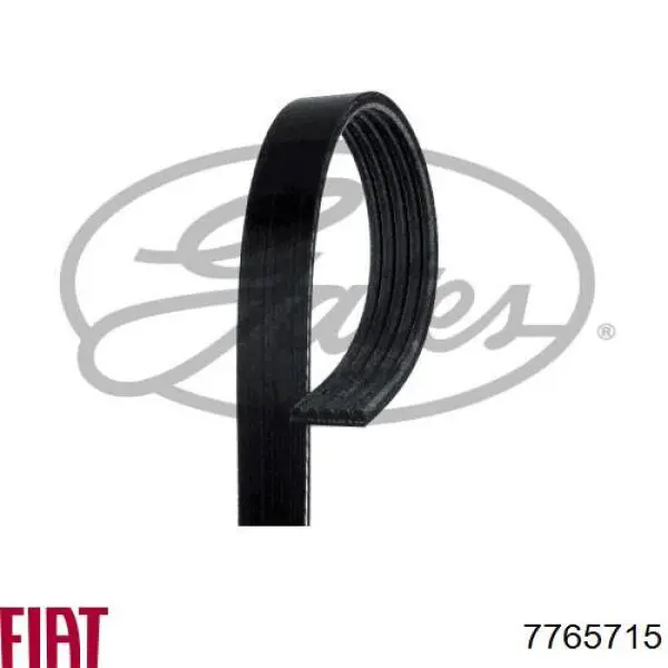 Correa de transmisión trapezoidal Fiat/Alfa/Lancia 7765715 precio, desde 9,66 EUR