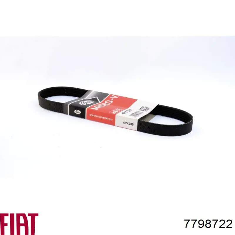 7798722 Fiat/Alfa/Lancia Correa poly v