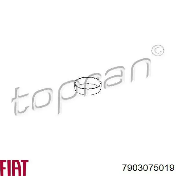 Comprar 950110 Cautex Tapon culata
