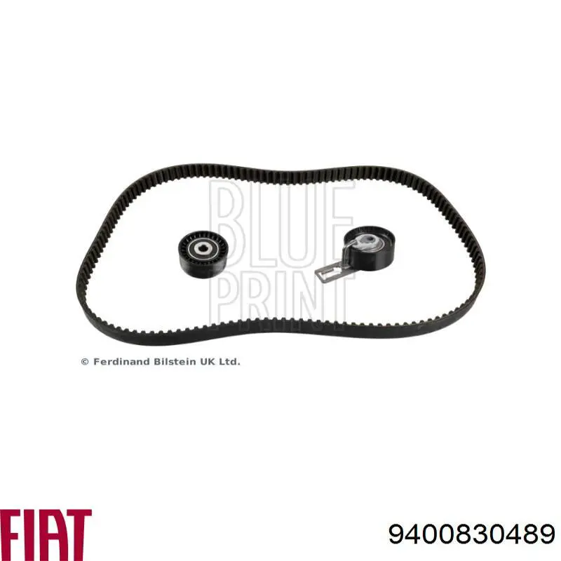 Correa de distribución Scudo  familiar (1996-2006) original desde 21,77 €