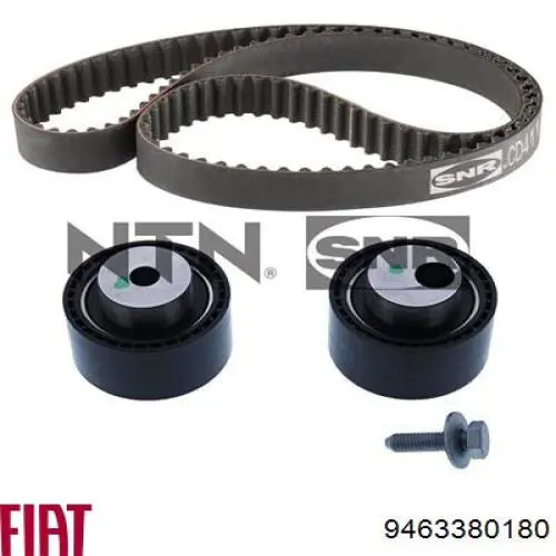 Comprar 00000816A6 Peugeot/Citroen Correa distribución