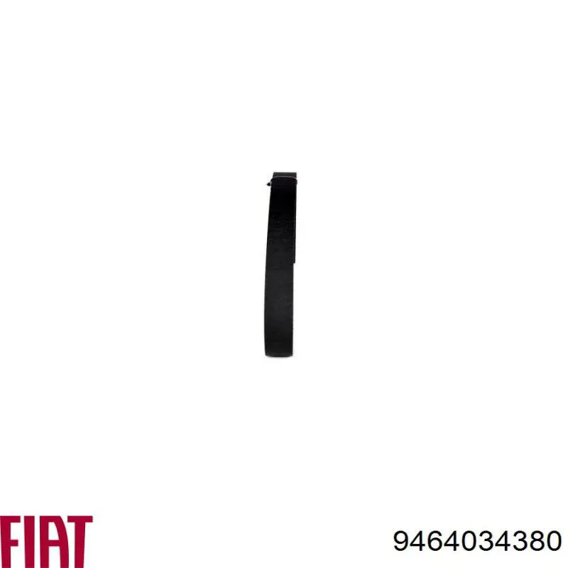 Comprar 9464034380 Fiat/Alfa/Lancia Correa distribución