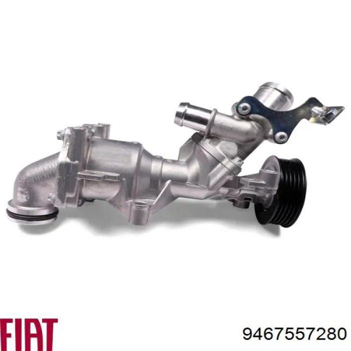 Tensor, correa dentada Peugeot 406 8B