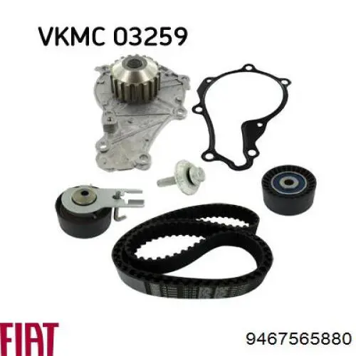 Correa distribucion Ford Fiesta JH, JD