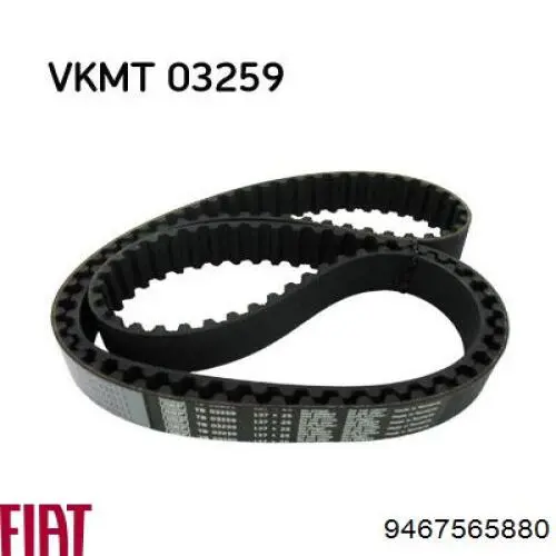 Correa distribucion Ford Fiesta JH, JD