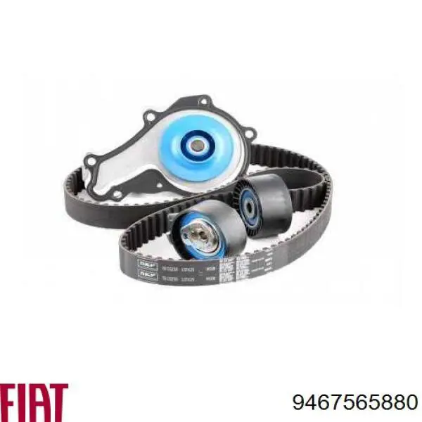 Correa distribucion Ford Fiesta JH, JD