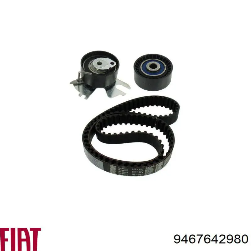 Tensor correa distribución 00000829G6 Peugeot/Citroen