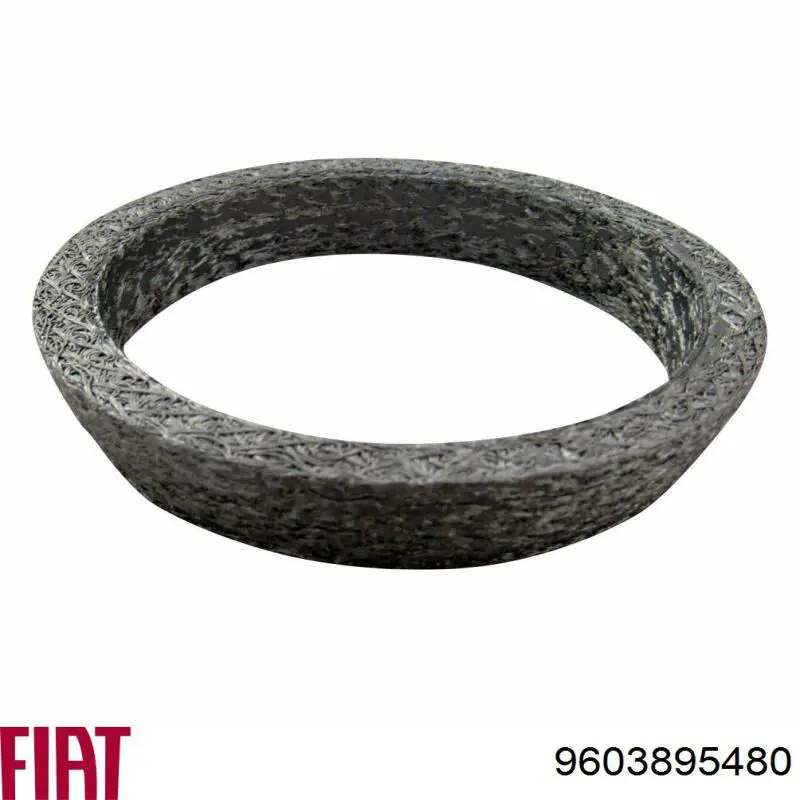Anillo de la tubería de admisión del silenciador Fiat/Alfa/Lancia 9603895480 precio, desde 2,00 EUR