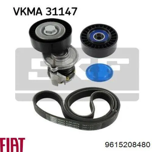 Correa trapezoidal Peugeot Partner 1 5F