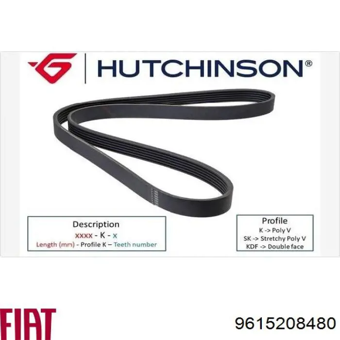 Correa trapezoidal Peugeot Partner 1 5F