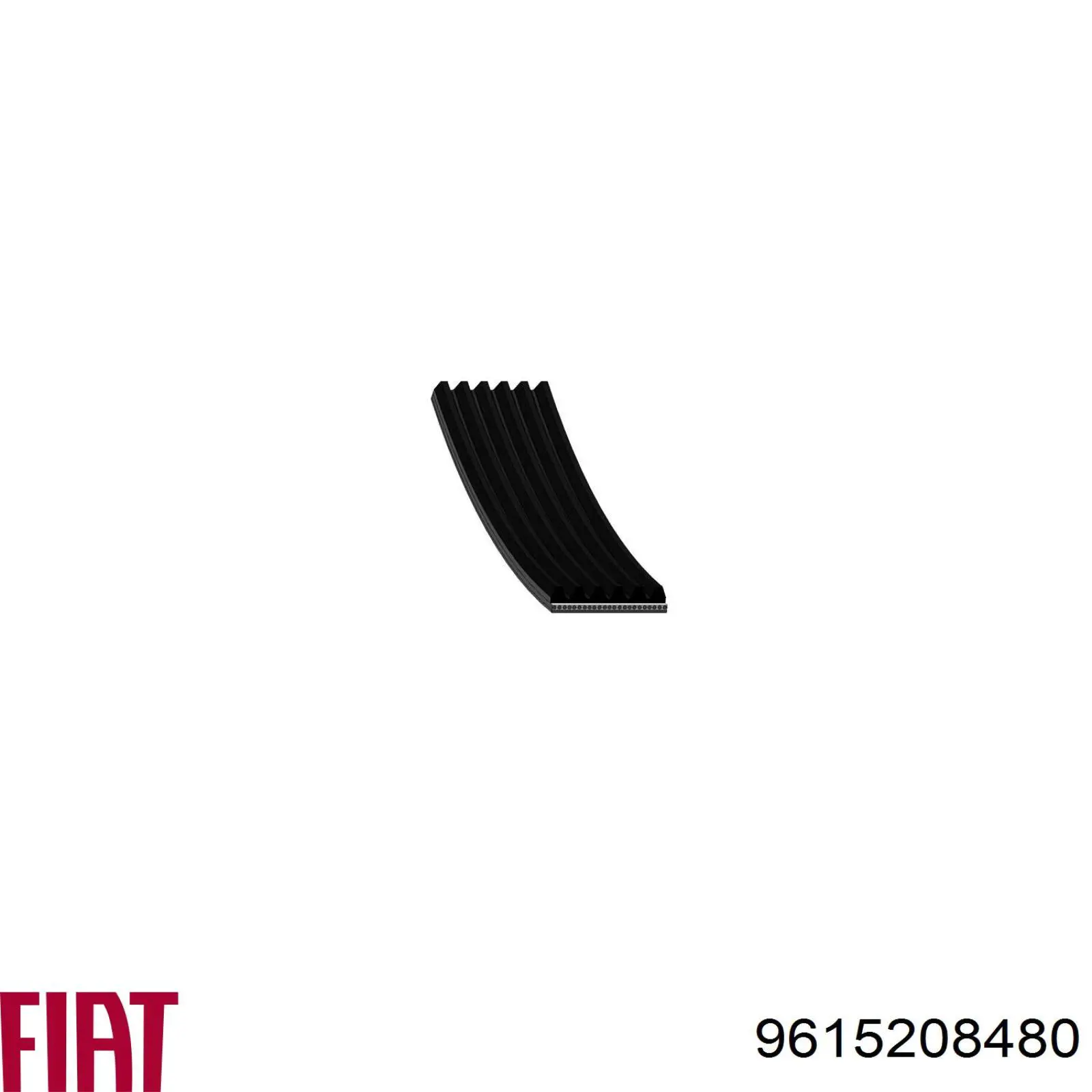 Correa trapezoidal Peugeot Partner 1 5F