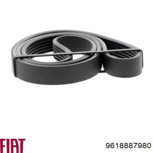 Correa accesorios Fiat/Alfa/Lancia 9618887980