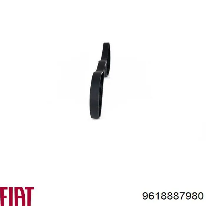 Comprar 9618887980 Fiat/Alfa/Lancia Correa trapezoidal