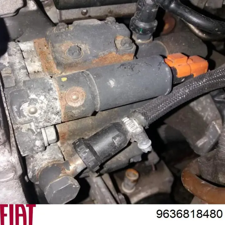 Bomba de alta presión Peugeot/Citroen 5WS40018Z