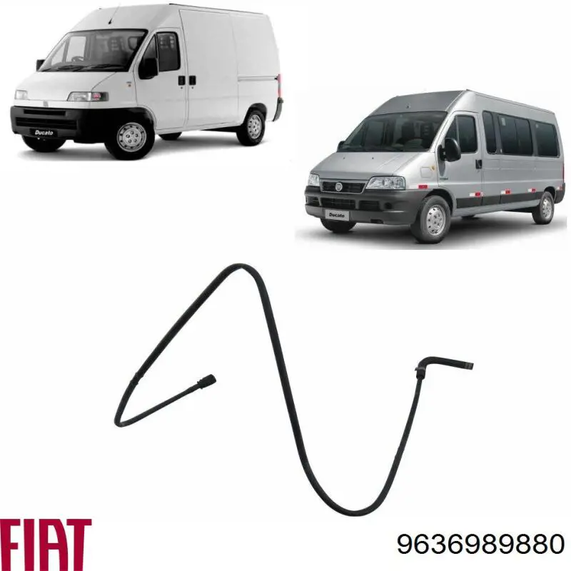 Comprar 9636989880 Fiat/Alfa/Lancia Cojinete del diferencial del eje delantero