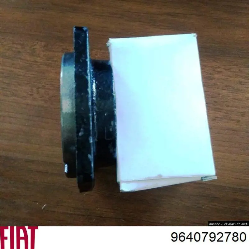 Retén del semieje delantero izquierdo Fiat/Alfa/Lancia 9640792780 precio, desde 28,91 EUR