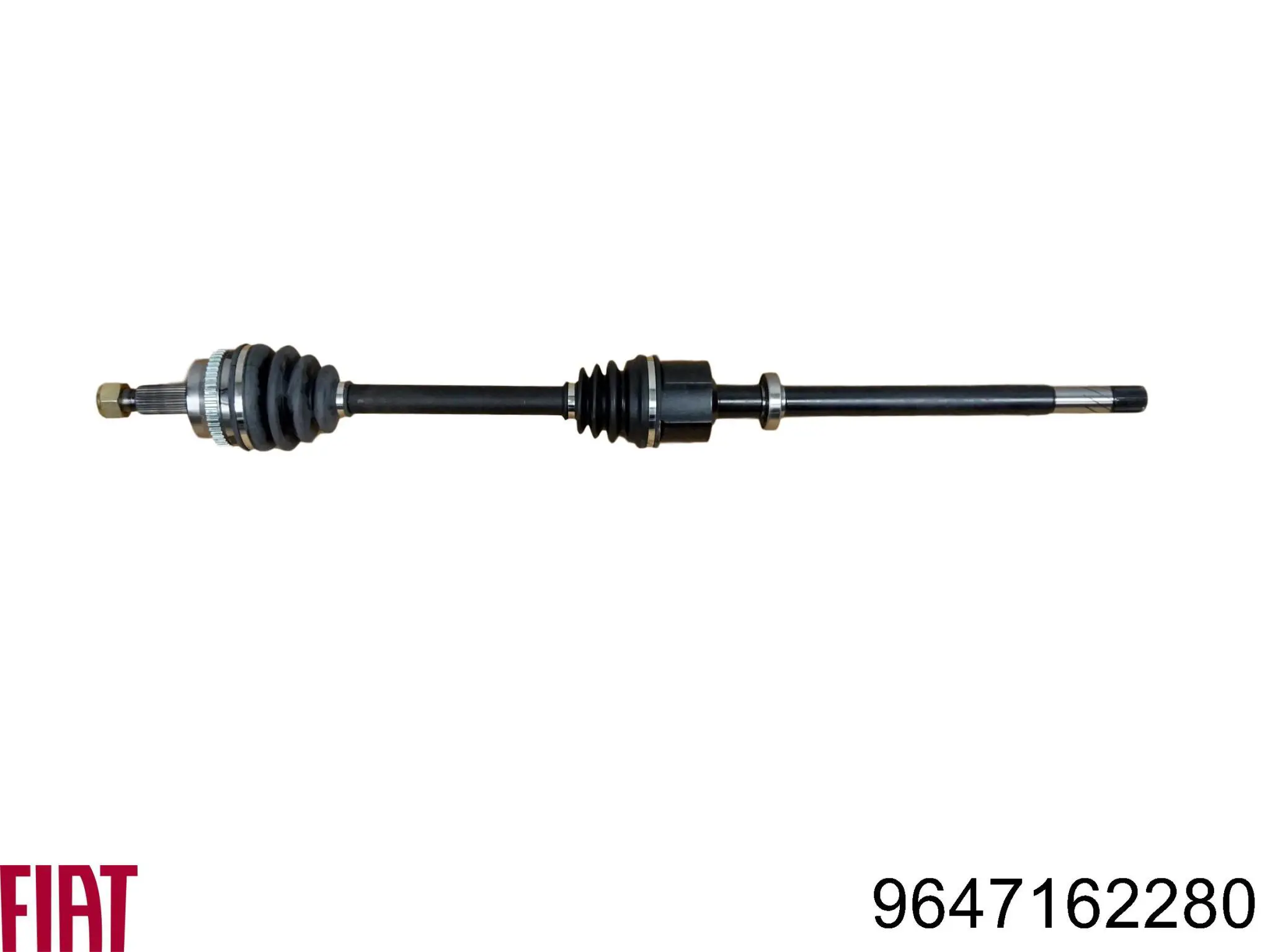 Cojinete de desembrague Fiat/Alfa/Lancia 9647162280 precio, desde 25,17 EUR