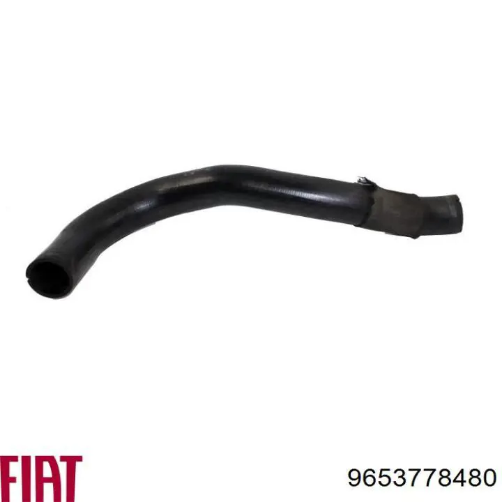 Tubo de salida de aire del turbocompresor Cautex 757402 precio, desde 58,80 EUR