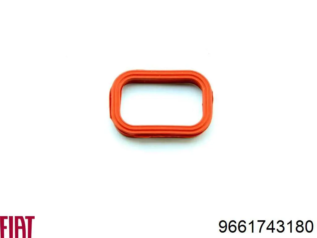 Junta, colector de admisión Jaguar X-type CF1