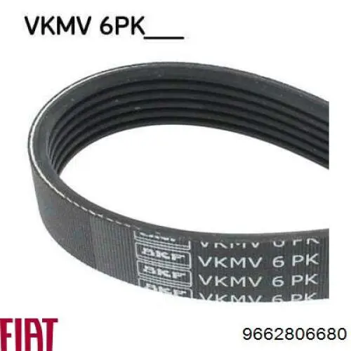 Comprar 9662806680 Fiat/Alfa/Lancia Correa trapezoidal