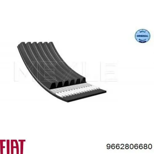 Correa de alternador 9662806680 Fiat/Alfa/Lancia
