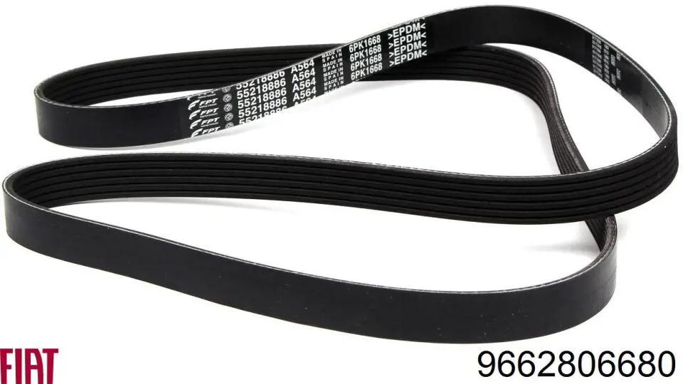 Correa de alternador 9662806680 Fiat/Alfa/Lancia