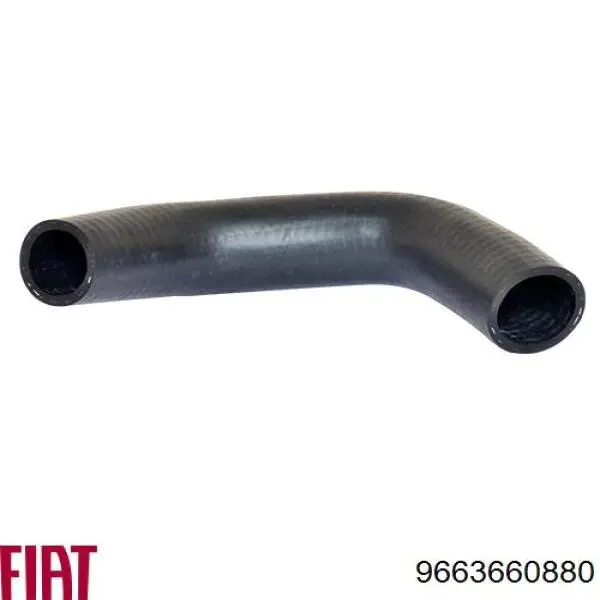 9663660880 Fiat/Alfa/Lancia Manguera de refrigeración
