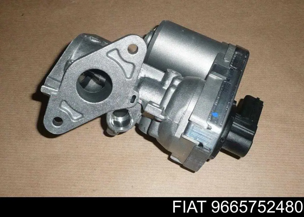 Comprar 9665752480 Fiat/Alfa/Lancia Válvula EGR